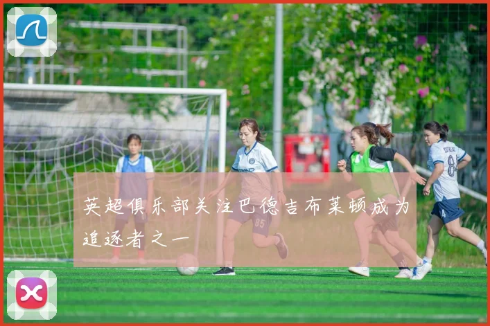 英超俱乐部关注巴德吉布莱顿成为追逐者之一