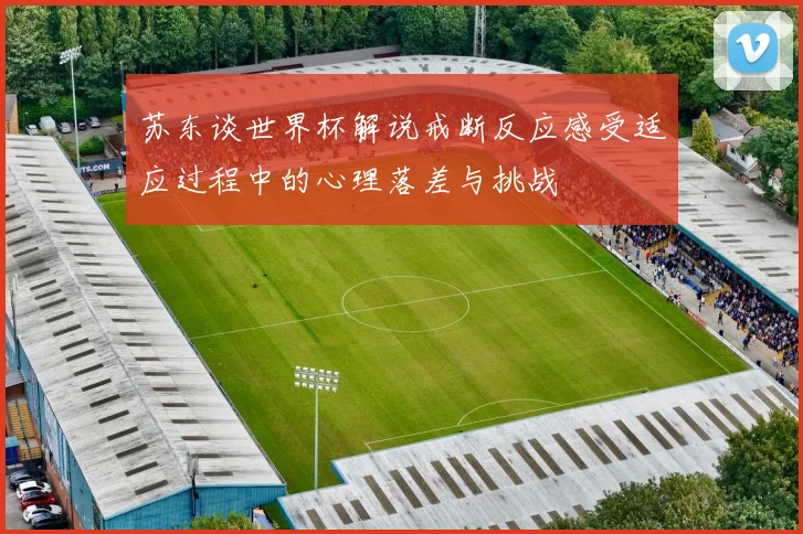 苏东谈世界杯解说戒断反应感受适应过程中的心理落差与挑战