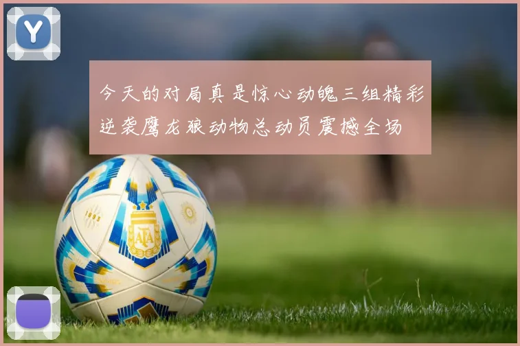 今天的对局真是惊心动魄三组精彩逆袭鹰龙狼动物总动员震撼全场