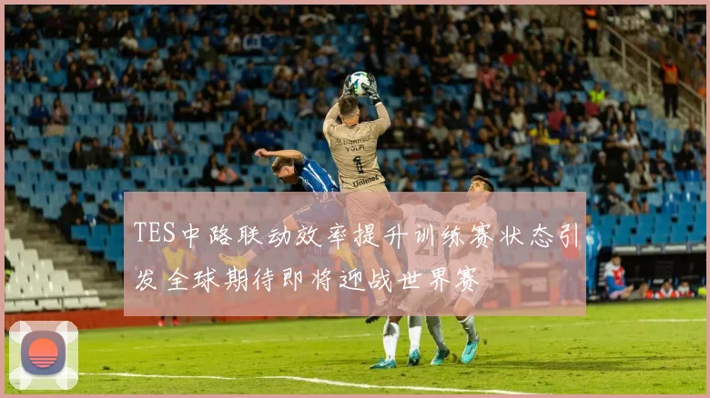 TES中路联动效率提升训练赛状态引发全球期待即将迎战世界赛