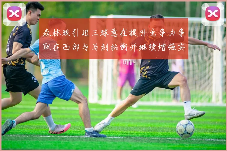 森林狼引进三球意在提升竞争力争取在西部与马刺抗衡并继续增强实力